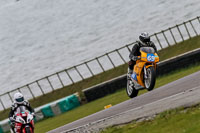 PJ-Motorsport-2019;anglesey-no-limits-trackday;anglesey-photographs;anglesey-trackday-photographs;enduro-digital-images;event-digital-images;eventdigitalimages;no-limits-trackdays;peter-wileman-photography;racing-digital-images;trac-mon;trackday-digital-images;trackday-photos;ty-croes